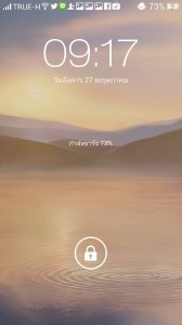 VOOC Fast Charger