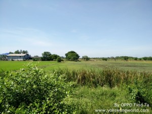 oppo-find-7a-photo-03