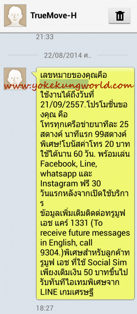 sim-social-rich-01