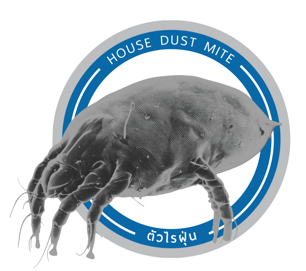 House Dust Mite