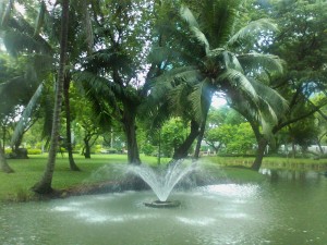 น้ำตก ที่สวนลุม