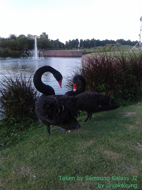 photo-samsung-galaxy-j2-02
