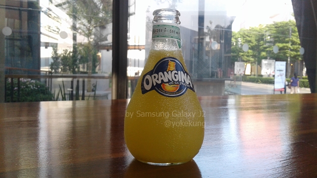 photo-samsung-galaxy-j2-07
