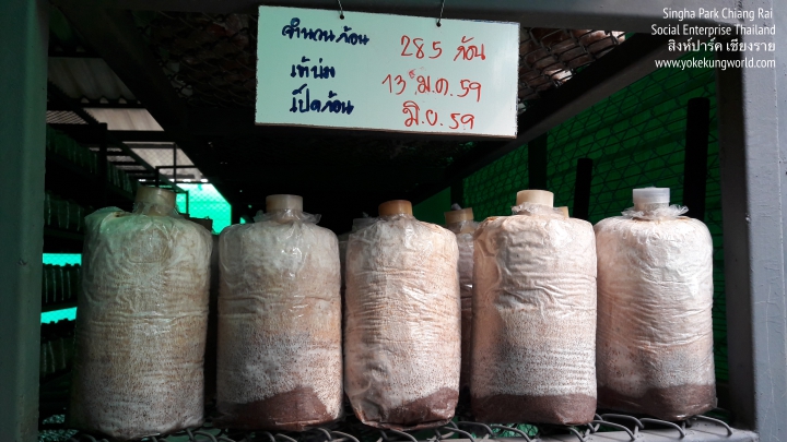 singha-park-chiang-rai-social-enterprise-02