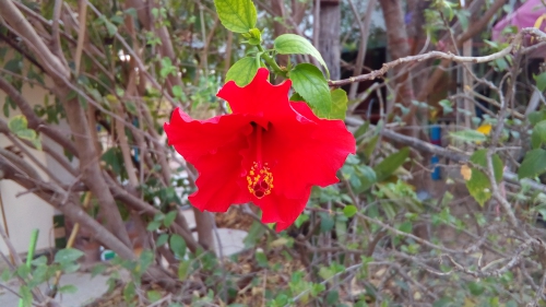 photo-sample-by-z630s-005