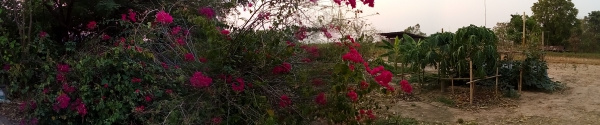photo-sample-by-z630s-006