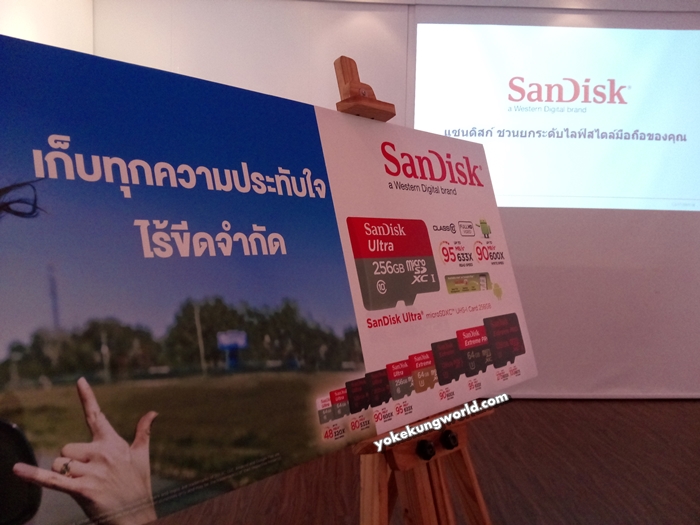 Micro SD Sandisk
