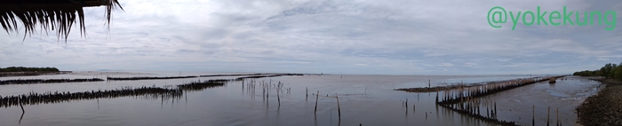 resize_panorama3