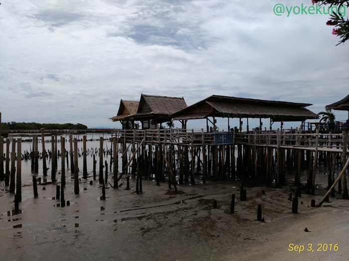 resize_view