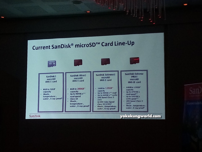 Sandisk MicroSD Card