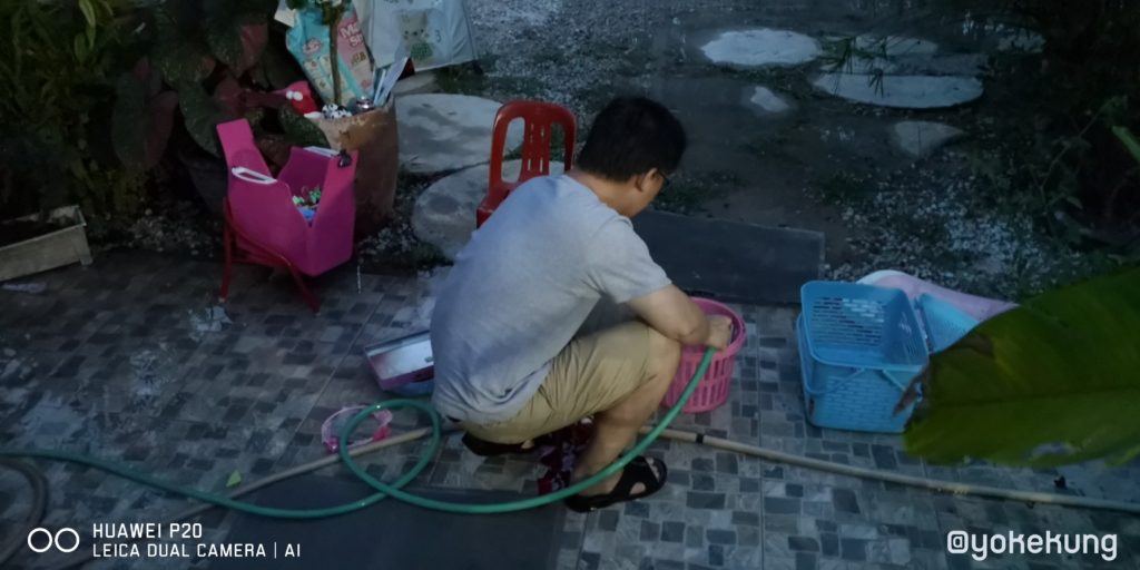 Huawei P20 Night