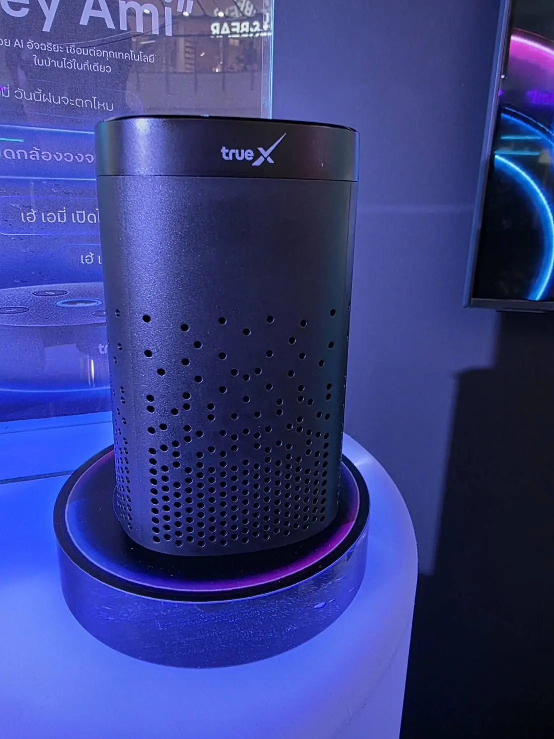 TrueX Home Hub