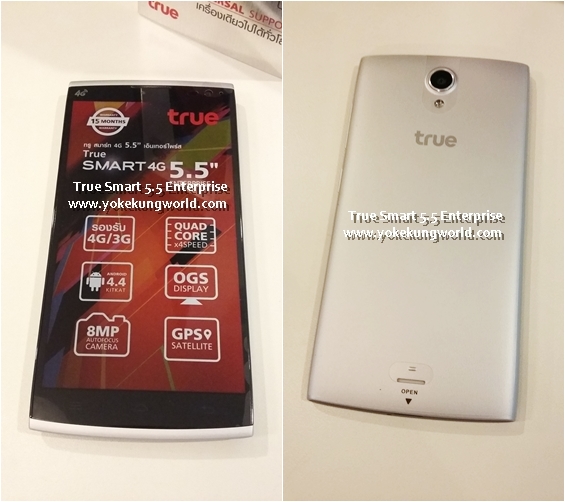 Wink Review บอกเล่าความรู้สึกหลังสัมผัส True SMART 4G 5.5 แบบด่วนๆ 1 วัน