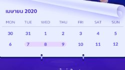 Mi Fan Festival 2020