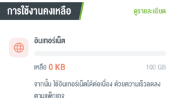 เน็ต 100GB ต่อเดือน