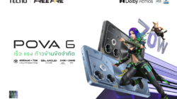 POVA 6
