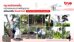 True Corporation Maintains Small Cell Quality to Support Thai Military Border Missions