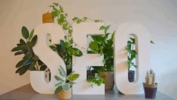 บริษัทรับทำ seo