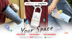 TrueSpace x A.livelyhood