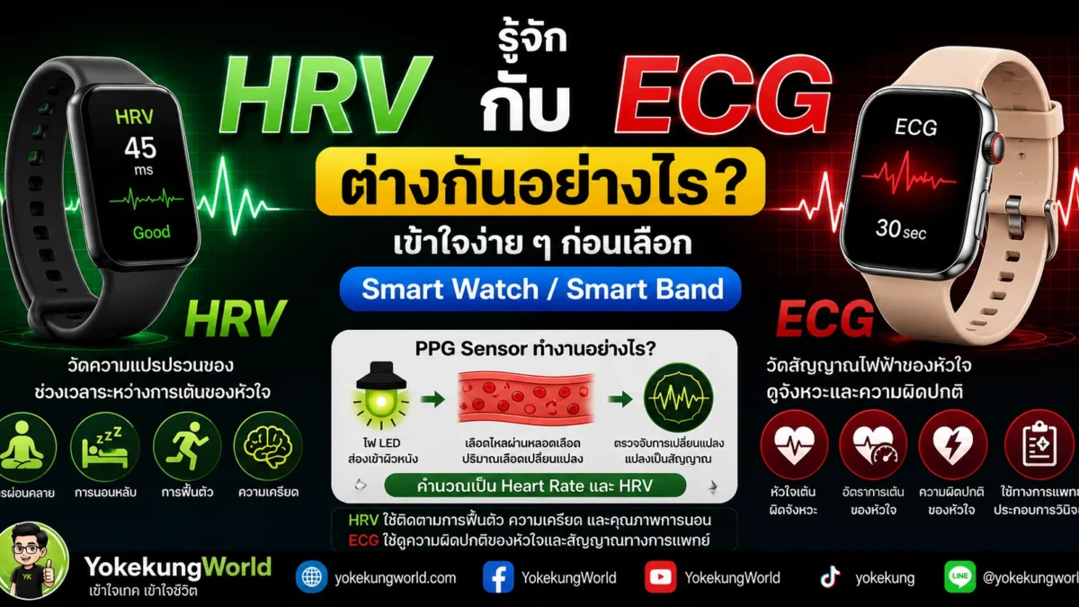 รู้จัก HRV กับ ECG ต่างกันอย่างไร? เข้าใจง่าย ๆ ก่อนเลือก Smart Watch / Smart Band