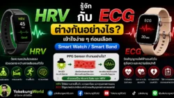 รู้จัก HRV กับ ECG ต่างกันอย่างไร? เข้าใจง่าย ๆ ก่อนเลือก Smart Watch / Smart Band