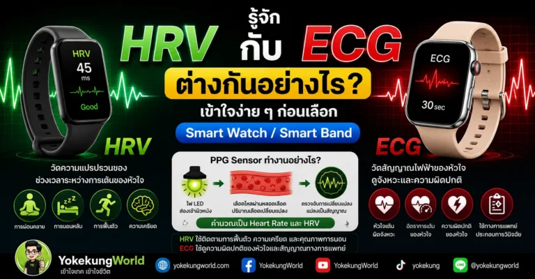 รู้จัก HRV กับ ECG ต่างกันอย่างไร? เข้าใจง่าย ๆ ก่อนเลือก Smart Watch / Smart Band