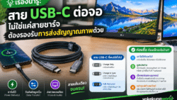 สาย USB-C ต่อจอ เลือกอย่างไร? เช็กก่อนซื้อ